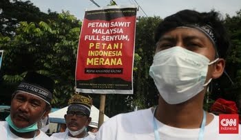 Harga TBS Tak Kunjung Naik, Petani Sawit di Berbagai Daerah Bakar Tandan Buah Segar