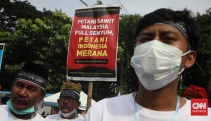 Harga TBS Tak Kunjung Naik, Petani Sawit di Berbagai Daerah Bakar Tandan Buah Segar