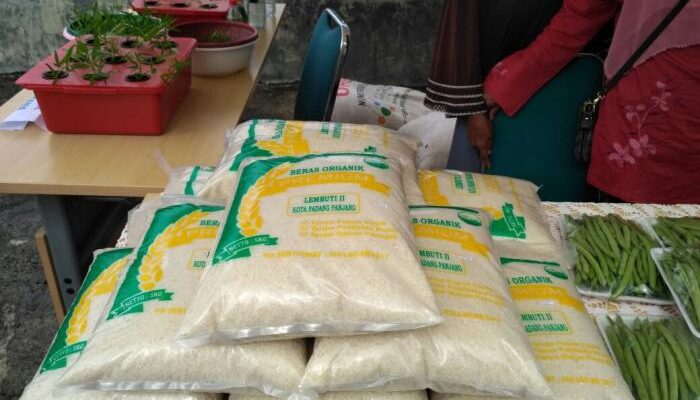 Petani Padang Panjang Dilatih Cara Memasarkan Padi dan Kompos Organik