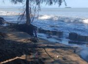 2.350 KK di Tanjung Mutiara Agam Tinggal di Wilayah Rawan Abrasi