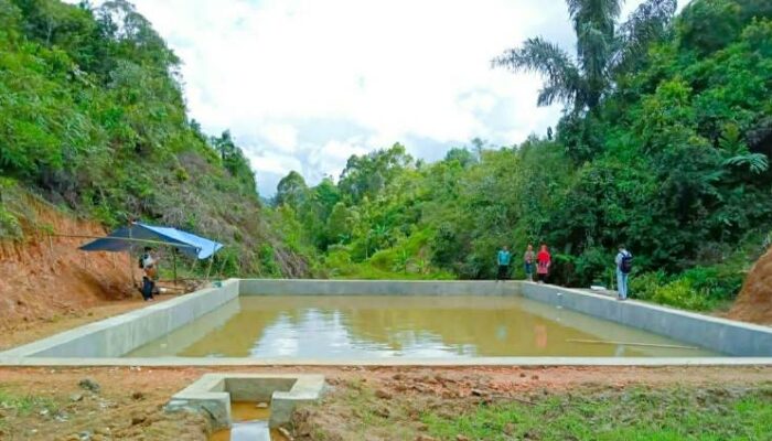 Dinas Pertanian Agam Alokasikan Dana Rp12,7 Miliar untuk Pengembangan Prasarana Pertanian