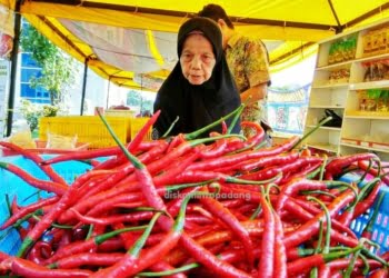 Pasokan Tersendat, Harga Cabai di Padang Kembali Terasa “Pedas”