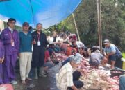 Usai Shalat Idul Adha, 260 Hewan Kurban Sudah Disembelih di Padang Panjang