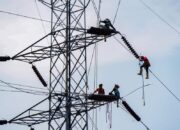 Listrik Sumatera Babel Pulih, PLN Bergerak Cepat Perbaiki Gangguan Transmisi SUTT Lahat-Bukit Asam