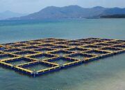 KJA di Maninjau di Ambang Batas, DPRD Sumbar: Perda Sudah Ada, Seharusnya Sudah Dieksekusi