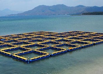 Keramba jaring apung