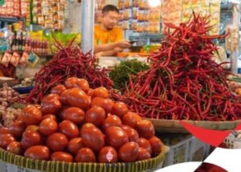 Minggu Pertama Agustus, Harga 13 Komoditas Pangan di Padang Panjang Mulai Turun