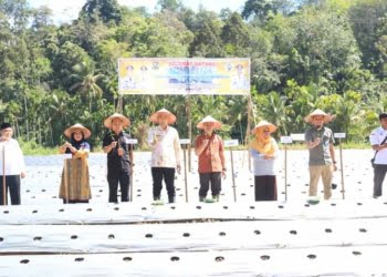Turun Bersama Wabup, Bupati Benny Dwifa Laksanakan Field Day di Nagari Bulu Kasok Sijunjung