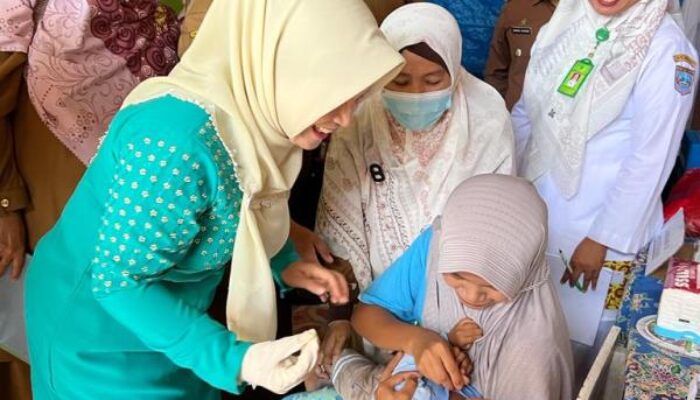 Posyandu Mawar IV Nagari Sinuruik Wakili Pasbar Lomba Posyandu Tingkat Sumbar