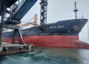 Persaingan Semen Nasional Makin Ketat, PT Semen Padang Tingkatkan Kinerja Ekspor