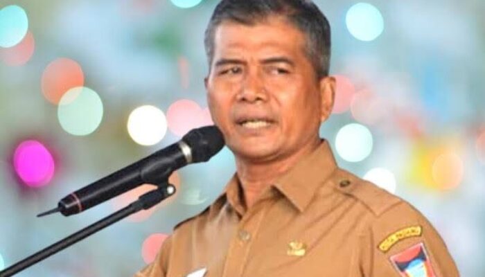 Ini Kelurahan dan Desa di Sumbar Masuk Nominasi Terbaik Nasional