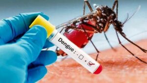 Dinas Kesehatan Kabupaten Sijunjung  mencatat 2 kasus Demam Berdarah Dengue atau DBD periode dari tanggal 1 hingga 7 Januari 2025