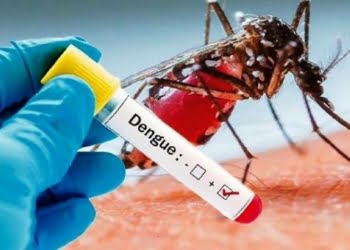 Dinas Kesehatan Kabupaten Sijunjung  mencatat 2 kasus Demam Berdarah Dengue atau DBD periode dari tanggal 1 hingga 7 Januari 2025