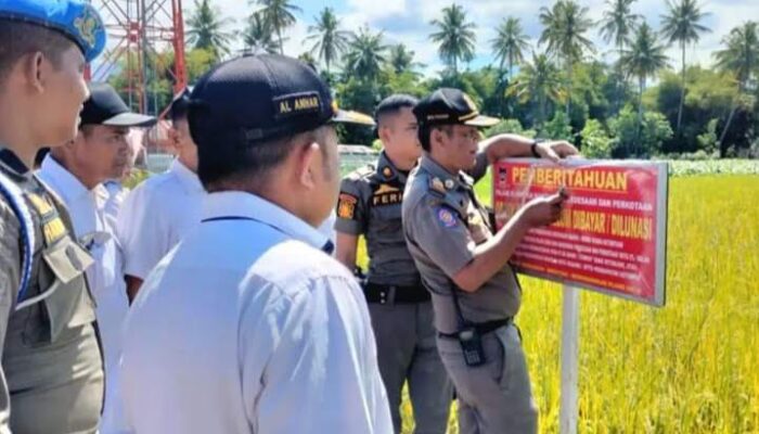 Menunggak! Pemko Padang Buru Tagihan Pajak Sampei ke Lahan Sawah Warga