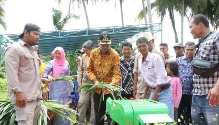 Walikota Genius Umar Bantu Alat Pakan Ternak untuk Kelompok Tani Lapai Saiyo Desa Cimparuah Pariaman Tengah