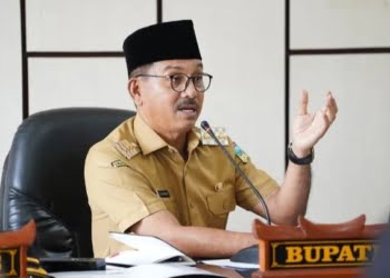 Pendataan Regsosek 2022 Dimulai, Bupati Khairunas Imbau Warga Solok Selatan Berikan Data Akurat ke Petugas BPS