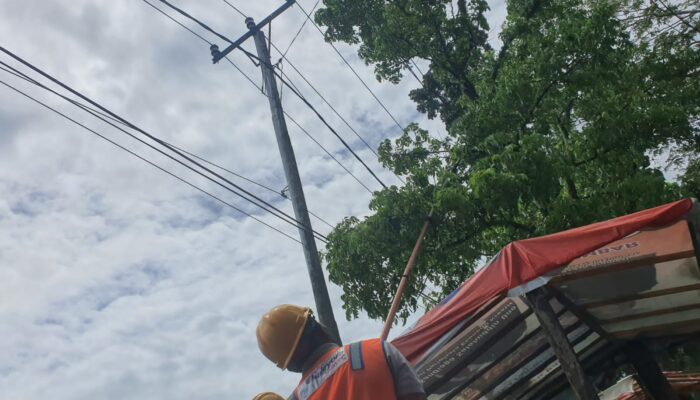 Pastikan Kenyamanan Pelanggan, PLN Rutin Bersihkan Jaringan Listrik dari Pepohonan