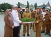 Tekan Inflasi, Pemkab Pasaman Barat Canangkan Penanaman Cabai