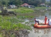 Pemkab Agam Laksanakan Gotong Royong Bersihkan Danau maninjau