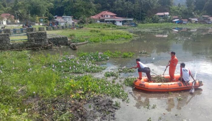 Pemkab Agam Laksanakan Gotong Royong Bersihkan Danau maninjau