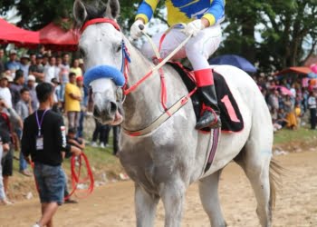 Kuda Milik Ketua Pordasi Sumbar Juarai Open Turnamen Wali Kota Payakumbuh