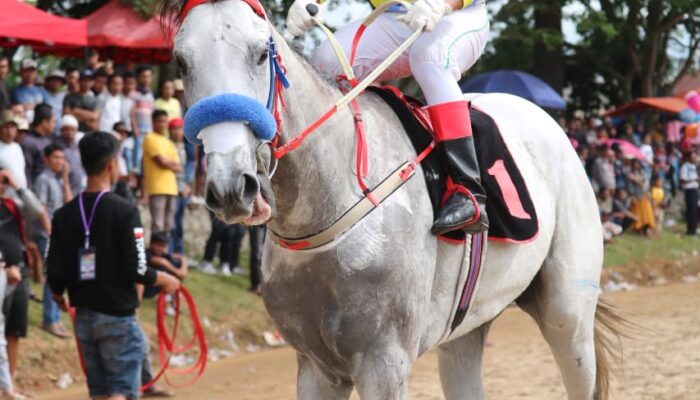 Kuda Milik Ketua Pordasi Sumbar Juarai Open Turnamen Wali Kota Payakumbuh