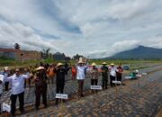 Pemko Bukittinggi Canangkan Gerakan Menanam Bawang Merah