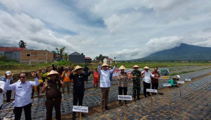 Pemko Bukittinggi Canangkan Gerakan Menanam Bawang Merah
