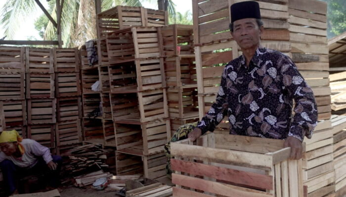 Dari Modal Nol Rupiah, Usaha Peti Buah M Jinis Raup Omset Rp4 Juta Per Hari