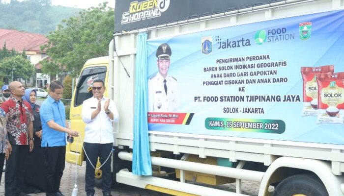 Beras Solok dari Arosuka untuk Indonesia