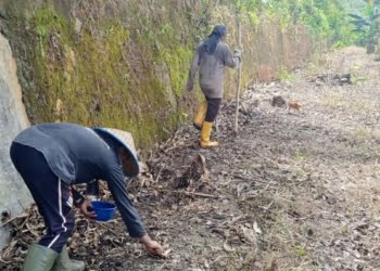 Lapas Kelas II B Lubuk Basung