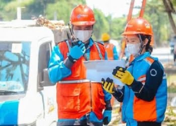 Bentuk Holding dan 4 Sub-Holding Baru, Strategi Lincah PLN Manfaatkan Aset untuk Dongkrak Bisnis