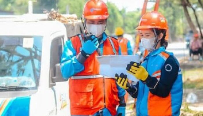 Bentuk Holding dan 4 Sub-Holding Baru, Strategi Lincah PLN Manfaatkan Aset untuk Dongkrak Bisnis