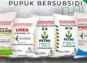 Maladministrasi Kartu Tani, Ombudsman Soroti Ketidakmerataan Subsidi untuk Petani di Sumbar