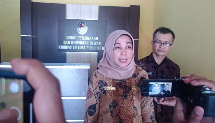 Sepanjang 2022 Hingga Saat Ini, Kasus Gigitan Anjing di Lima Puluh Kota Menurun