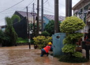 Berbahaya Saat Banjir! PLN Terpaksa Putus Aliran Listrik Demi Keselamatan Pelanggan