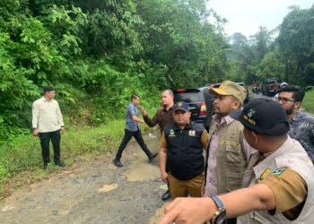 Kunjungi Pasaman, Wagub Audy Tinjau Perbaikan Jalan hingga Sosialisasikan Bantuan Benih Jagung