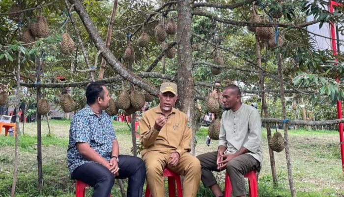 Banjir Durian, Gubernur Mahyeldi Minta Pengusaha dan Petani Sinergi Agar Stabilitas Harga Terjaga