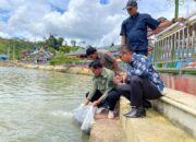 Bantuan Pokir Anggota DPRD Sumbar, Bibit Ikan 125 Ribu Dilepas di Perikanan Peridon Aek Nabirong