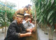 Miliki Tanah Subur, Nagari Talu Dijadikan Daerah Ketahanan Pangan di Pasaman Barat