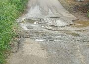 Ruas Jalan Sitiung Penuh Tambal Sulam dan Masih Berlobang