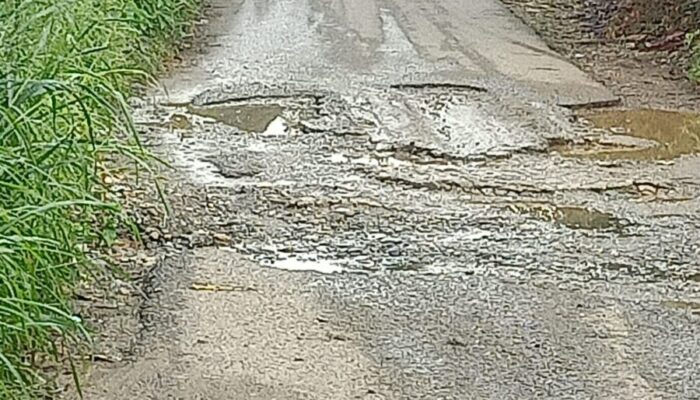Ruas Jalan Sitiung Penuh Tambal Sulam dan Masih Berlobang