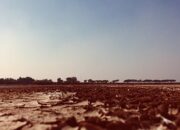 5 Puisi Pilihan Karya Pulo Lasman Simanjuntak