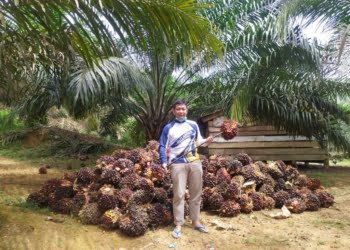 Kombes Pol Dwi Sulistyawan