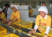 PT Sido Muncul Bidik Pasar Ekspor Baru