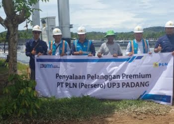 Cerita Aljumardi, Pengusaha Tambak Udang: Panen Lebih Maksimal dengan Listrik Pelanggan Premium PLN