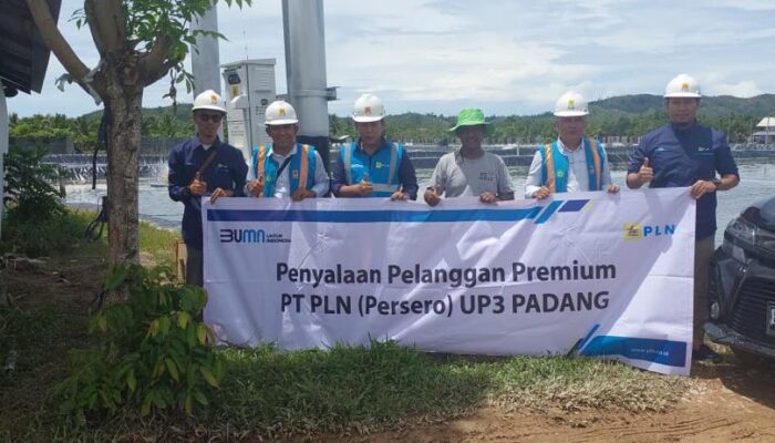 Cerita Aljumardi, Pengusaha Tambak Udang: Panen Lebih Maksimal dengan Listrik Pelanggan Premium PLN