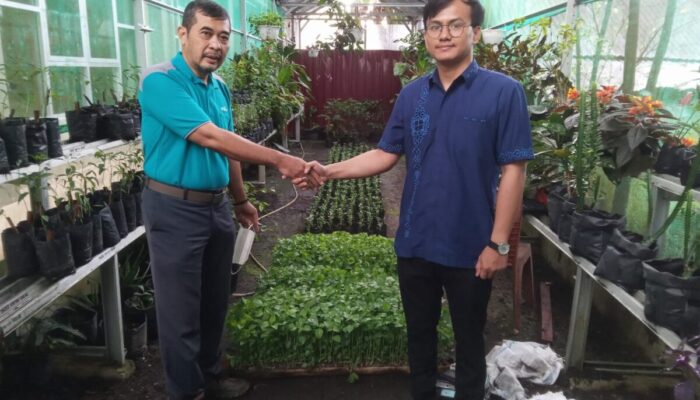 DPKP Agam Terima Bantuan Bibit Cabai dari PT AMP Plantation