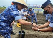 Kasau Bersama Wamentan Tanam Sorgum di Lanud Sutan Sjahrir Padang