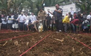 Pemkab Solok Selatan